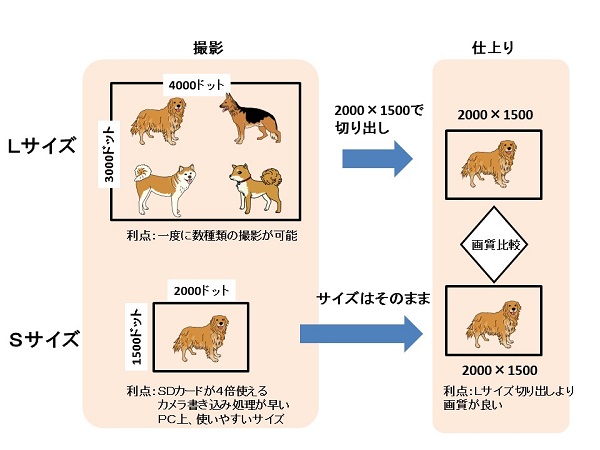 ブログの挿絵